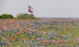 MRP 96:  Texas Relinquishment Act Lands