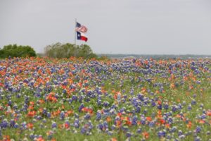 Read more about the article MRP 96:  Texas Relinquishment Act Lands