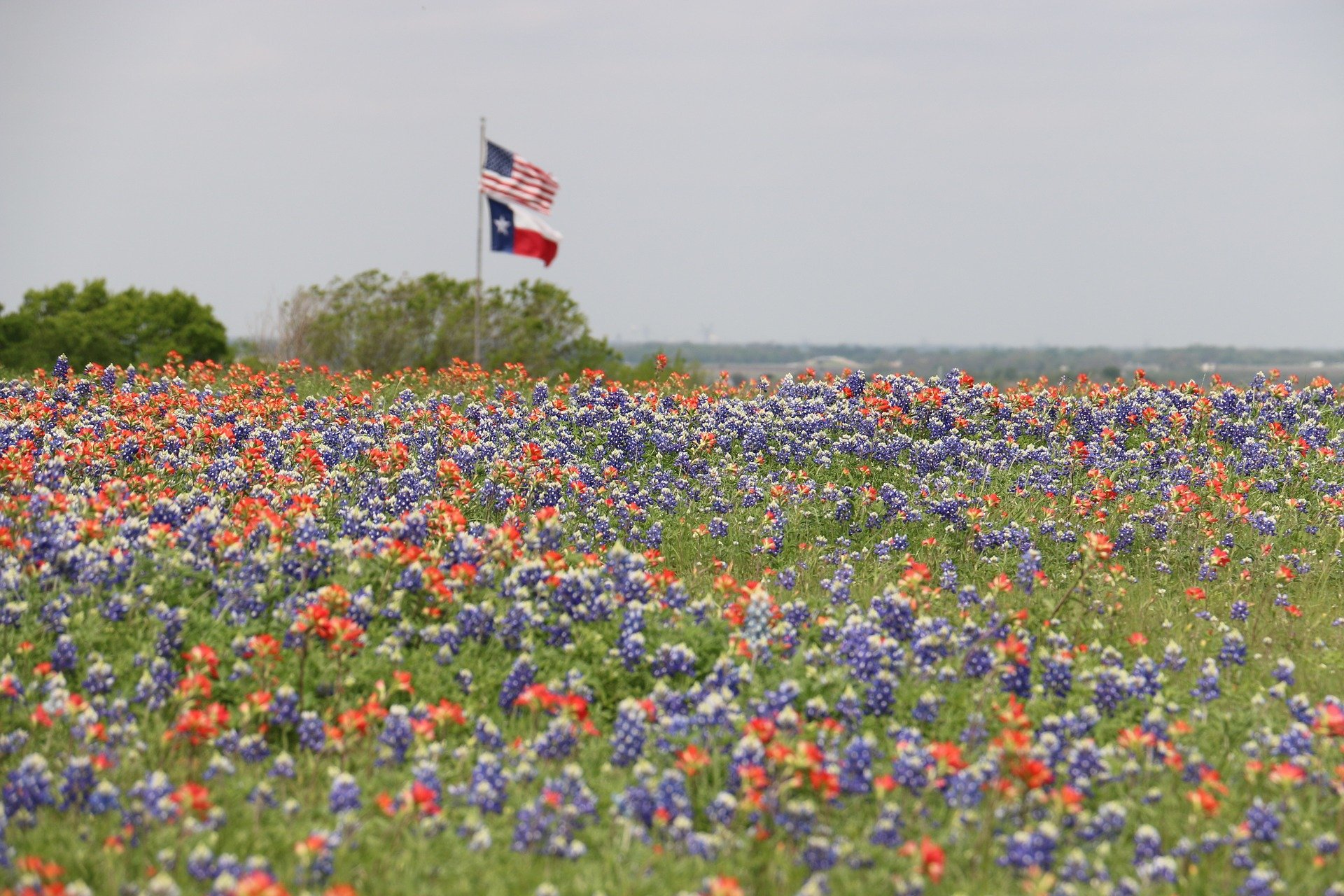 You are currently viewing MRP 96:  Texas Relinquishment Act Lands