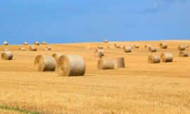 MRP 322: Will They Find Me? How Landmen Track Down Mineral Owners and What You Can Do to Help