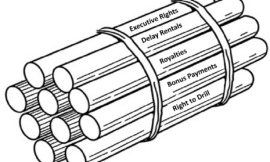 MRP 338: The Bundle of Sticks: Do You Know Which Rights You Actually Own?