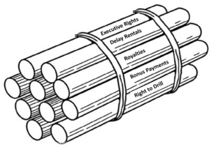 Read more about the article MRP 338: The Bundle of Sticks: Do You Know Which Rights You Actually Own?